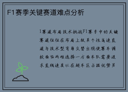 F1赛季关键赛道难点分析